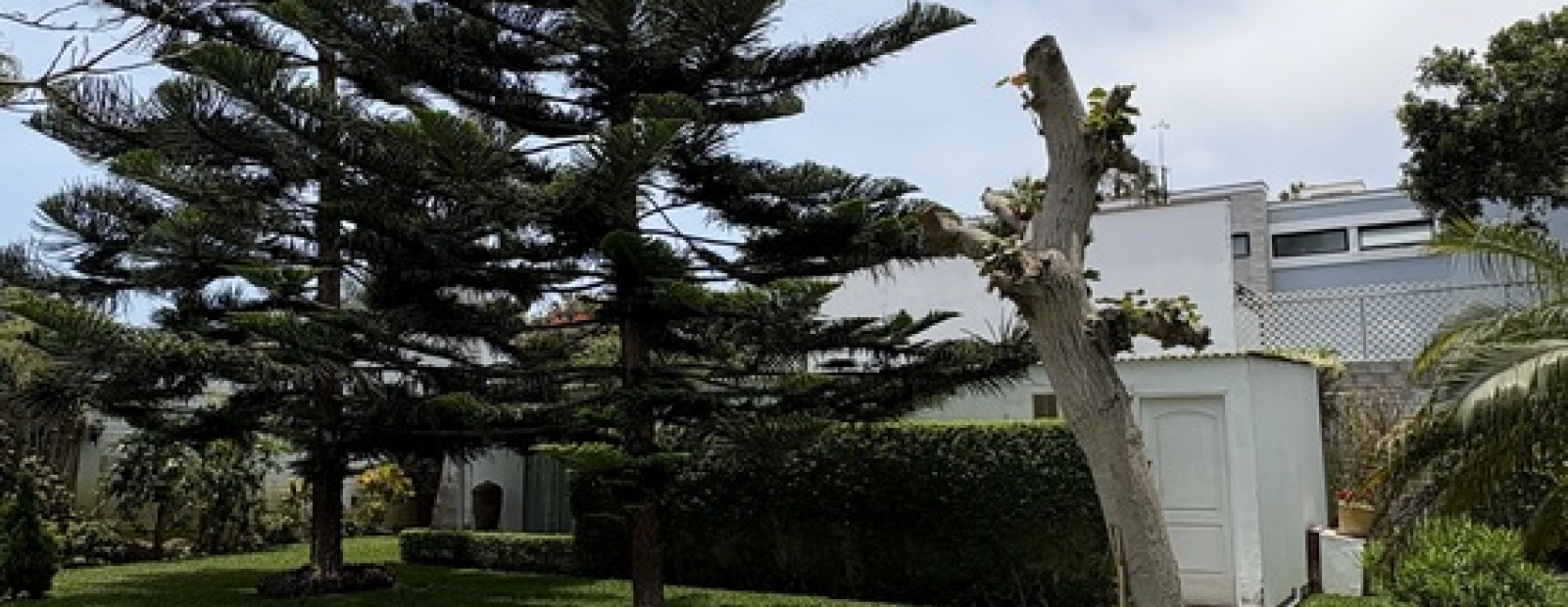 1 Alameda el sereno, Chorrillos, 4 Habitaciones Habitaciones,4 BathroomsBathrooms,Casa,Venta,Alameda el sereno,0,C-1176