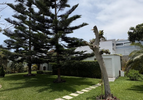 1 Alameda el sereno, Chorrillos, 5 Habitaciones Habitaciones,5 BathroomsBathrooms,Casa,Venta,Alameda el sereno,0,C-1176 1 Alameda el sereno, Chorrillos, 5 Habitaciones Habitaciones,5 BathroomsBathrooms,Casa,Venta,Alameda el sereno,0,C-1176