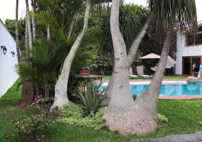 1 ALAMEDA CABALLERO DE ALCANTARA, Chorrillos, 4 Habitaciones Habitaciones,4 BathroomsBathrooms,Casa,Venta,ALAMEDA CABALLERO DE ALCANTARA,0,C-1183