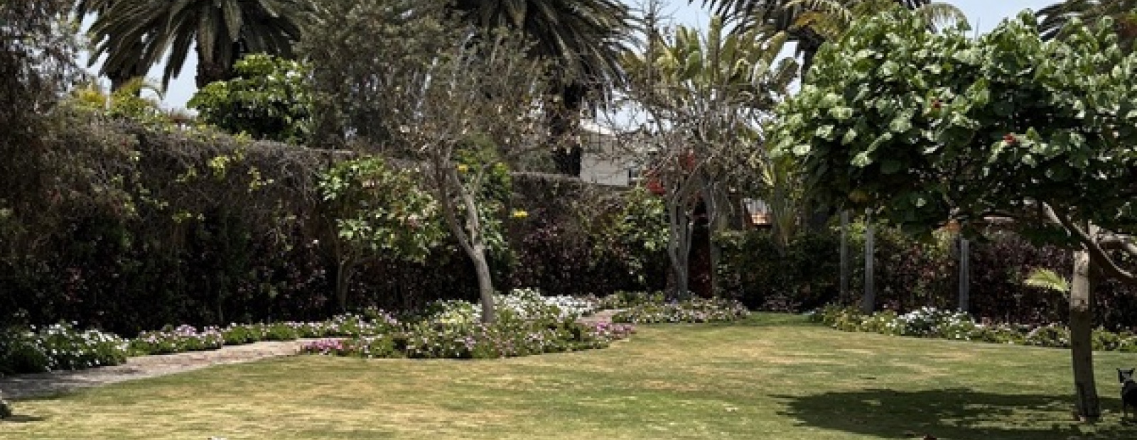 1xx Alameda El Corregidor, Chorrillos, 9 Habitaciones Habitaciones,3 BathroomsBathrooms,Casa,Alquiler/Venta,Alameda El Corregidor,0,C-1060