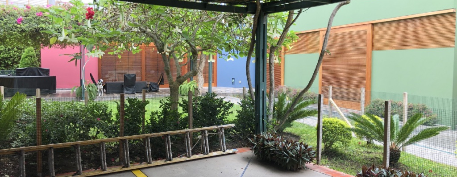 1 Parque cocoteros, Chorrillos, 3 Habitaciones Habitaciones,3 BathroomsBathrooms,Casa,Alquiler,Parque cocoteros,0,C-1067