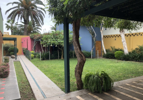 1 Parque cocoteros, Chorrillos, 3 Habitaciones Habitaciones,3 BathroomsBathrooms,Casa,Alquiler,Parque cocoteros,0,C-1067 1 Parque cocoteros, Chorrillos, 3 Habitaciones Habitaciones,3 BathroomsBathrooms,Casa,Alquiler,Parque cocoteros,0,C-1067