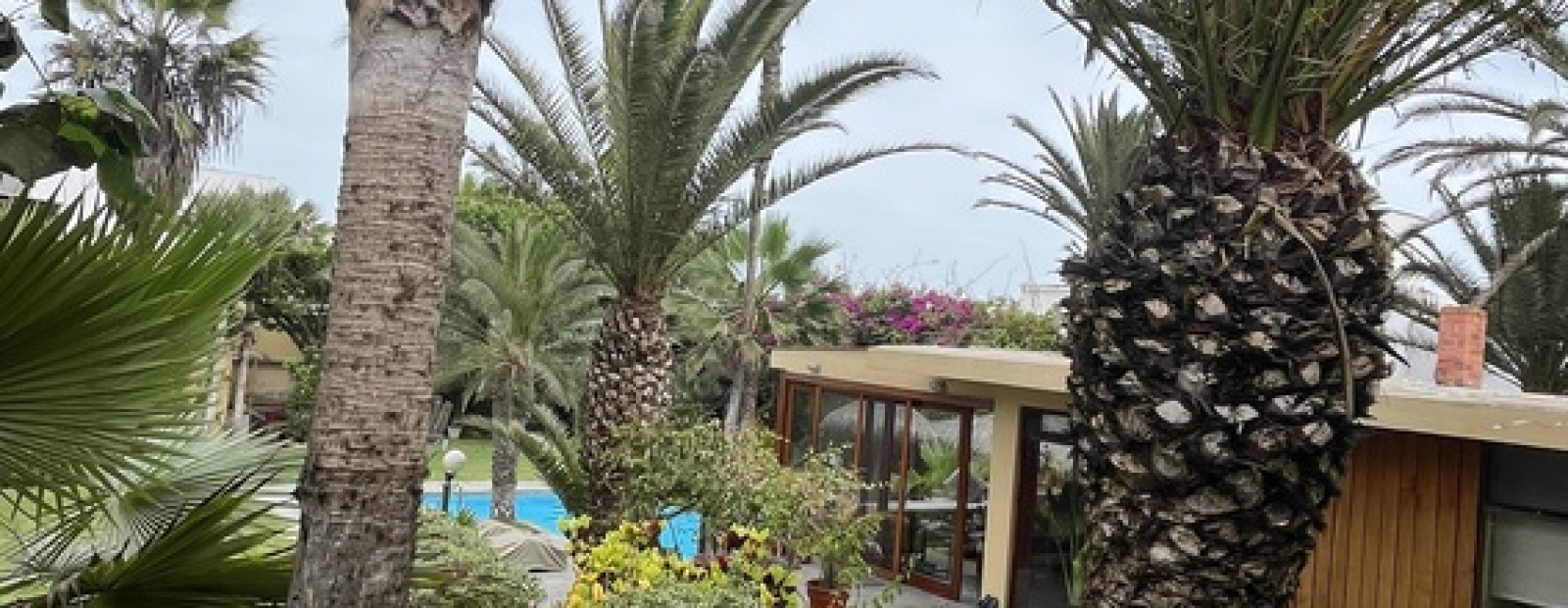 1xx Alameda Hernando de lavalle, Chorrillos, 3 Habitaciones Habitaciones,3 BathroomsBathrooms,Casa,Venta,Alameda Hernando de lavalle,0,C-1062