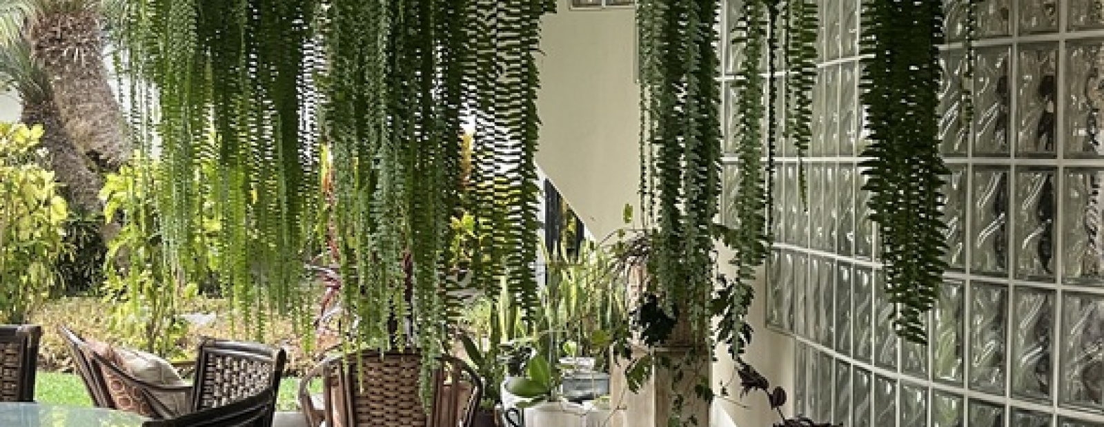 1xx Alameda los abanicos, 3 Habitaciones Habitaciones,3 BathroomsBathrooms,Casa en Condominio,Alquiler,Alameda los abanicos,0,C-1113