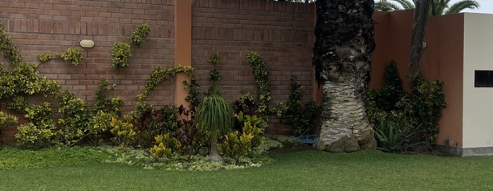 1xx Alameda los abanicos, 3 Habitaciones Habitaciones,3 BathroomsBathrooms,Casa en Condominio,Alquiler,Alameda los abanicos,0,C-1113