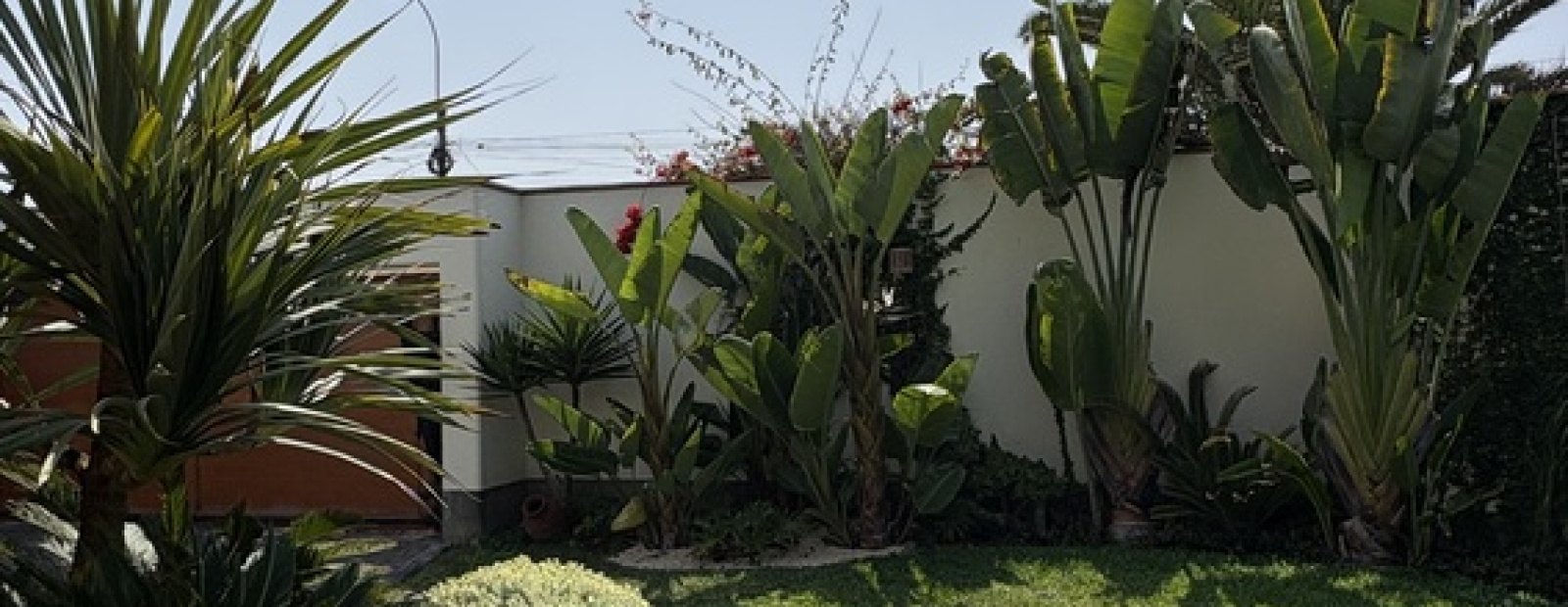 1xx alameda los abanicos, Chorrillos, 3 Habitaciones Habitaciones,4 BathroomsBathrooms,Casa,Alquiler,alameda los abanicos,0,C-1097