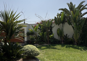 1xx alameda los abanicos, Chorrillos, 3 Habitaciones Habitaciones,4 BathroomsBathrooms,Casa,Alquiler,alameda los abanicos,0,C-1097 1xx alameda los abanicos, Chorrillos, 3 Habitaciones Habitaciones,4 BathroomsBathrooms,Casa,Alquiler,alameda los abanicos,0,C-1097